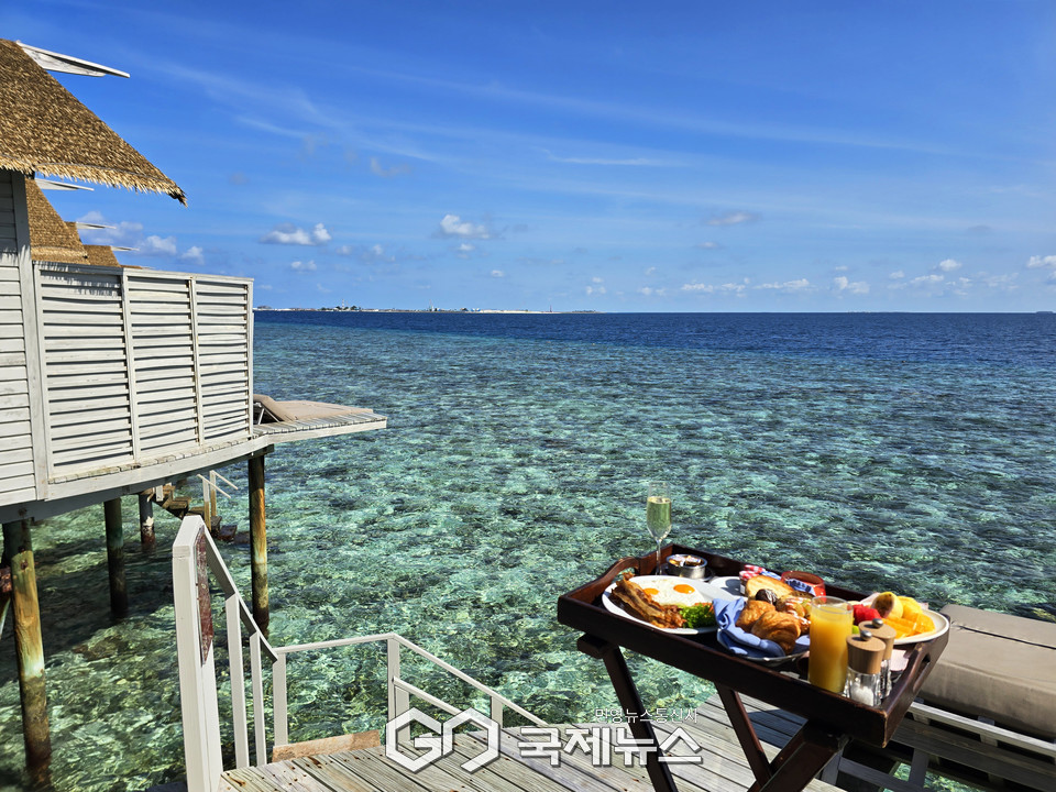 사진/유지현 기자