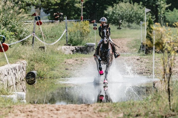 작년 농림축산식품부장관배 승마대회(사진=한국마사회)