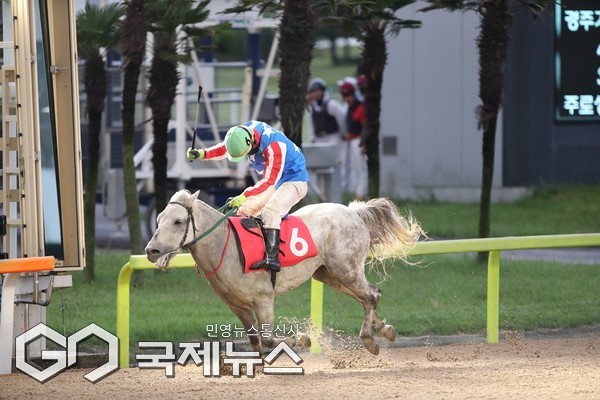 ‘원당봉’은 4코너까지 중위권을 유지하다 마지막 직선주로에서 거침없는 추입으로 단숨에 4두를 제치고 1위로 결승선을 통과했다.[사진=렛츠런파크제주]