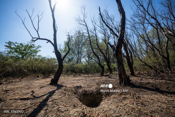 2023년 9월 11일, 루마니아 수도 부쿠레슈티에서 동쪽으로 300km 떨어진 다뉴브 삼각주 플라우루 마을 외곽 숲에 추락한 러시아 무인기. 2023년 9월 11일,