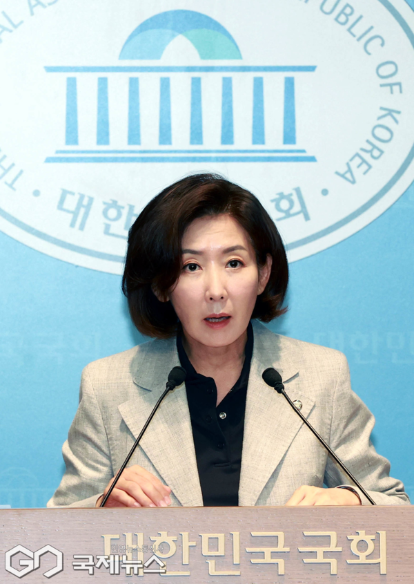 ▲국민의힘 나경원 의원/ 사진=이용우기자
