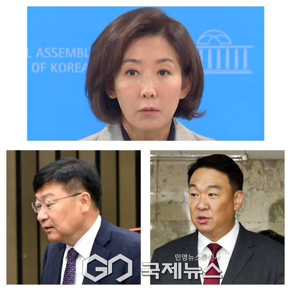 ▲ 나경원, 총괄기획단장,정점식, 공직자 평가혁신 TF장정희용, 조직강화특위장 사진=국제뉴스DB