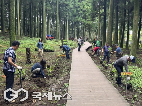 제주 절물생태관리소는 지난 16일 절물자연휴양림에서 직원들이 직접 키운 수국 묘목을 심는 ‘수국 식재 행사’를 열고 숲길 경관 개선과 새로운 볼거리 제공에 나섰다.[사진=제주 절물생태관리소]