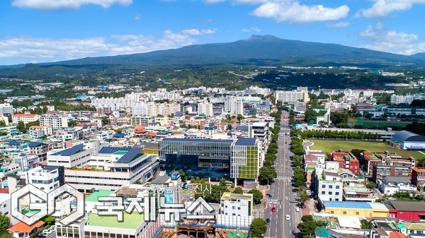 서귀포시는 주요 채소류의 재배면적과 생산량을 사전 예측해 원활한 수급 조절과 유통 대책을 마련하기 위해 ‘주요 채소류 재배면적 신고제’를 추진한다.[사진=서귀포시청]