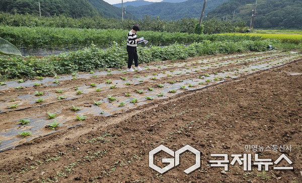 사진/사천 농관원