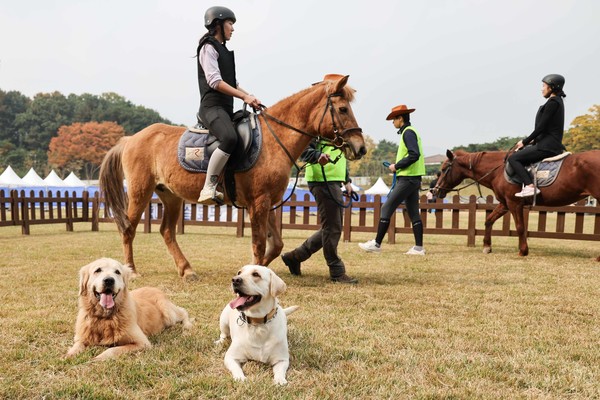 가을승마주간 펫페어와 함께한 도심승마체험(출처=한국마사회)