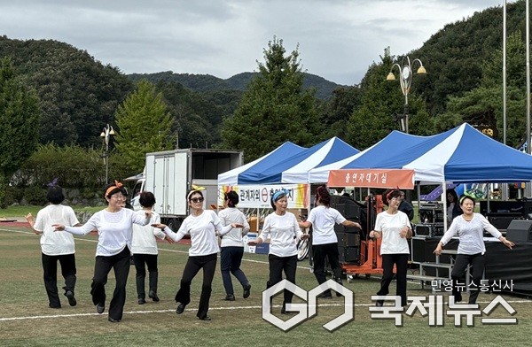 라인댄스 공연 모습.(제공=보은군청)