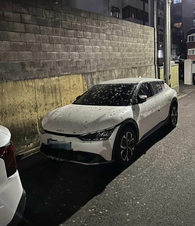 (사진=온라인 커뮤니티 보배드림)