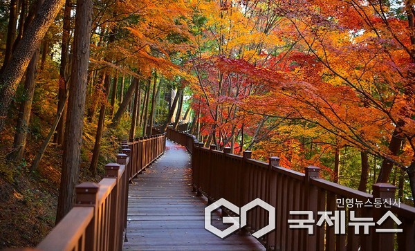 진양호 노을전망데크로드 사진/진주시