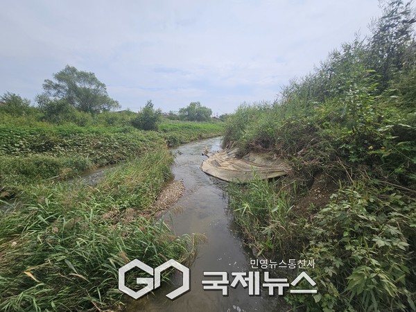 ▲ 화성시 남양천 일대 각종 폐기물과 쓰레기로 몸살을 앓고 있다 [사진=손병욱기자]