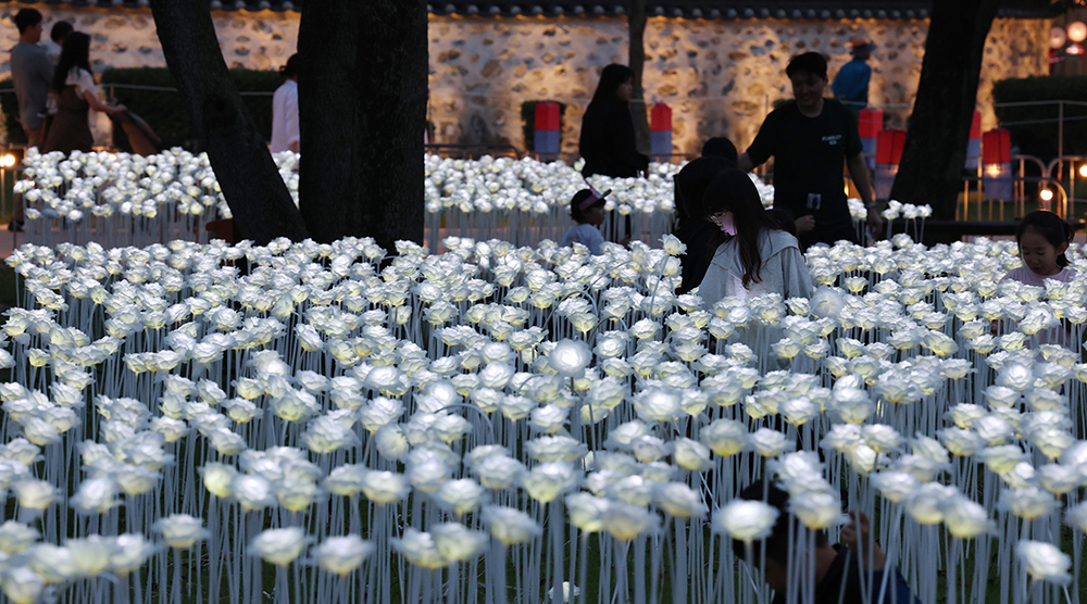 고성방가 EDM 파티가 개최돼 해미읍성의 가을밤을 젊은 청년들의 열정과 함성으로 채웠다. (서산시)
