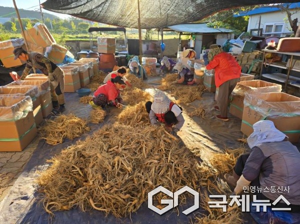 (제공=증평군청)