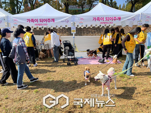 ▲ 성남시, 지난해 10월 12일 분당구 야탑동 탄천 다목적광장에서 열린 ‘성남시 반려동물 페스티벌’ 행사 때 유기동물 홍보 부스 [성남시제공]