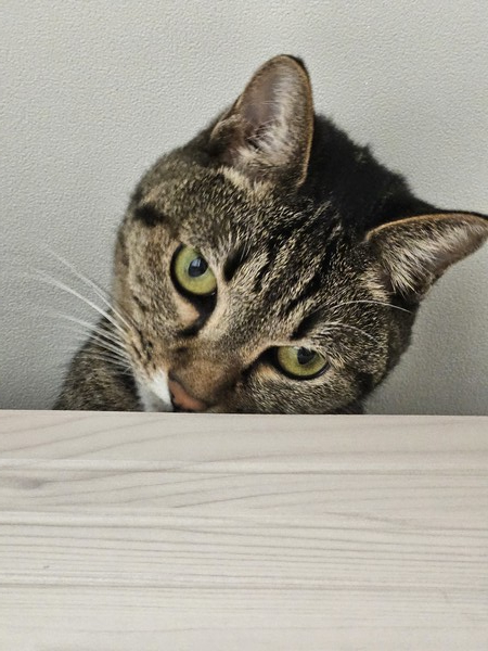 지켜보겠다 (사진/한경숙 기자)