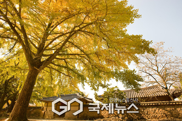 청라은행마을. 사진=보령시