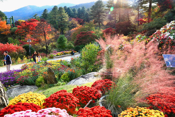 사진제공 = 아침고요수목원