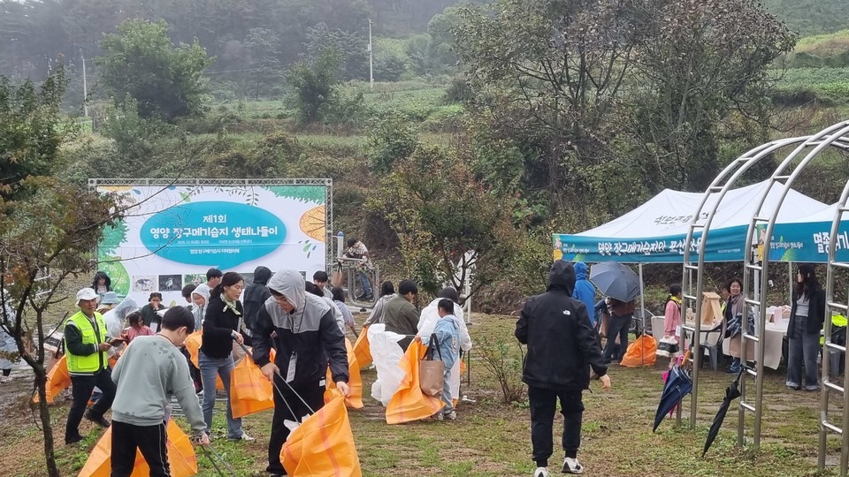 (사진제공=영양군)