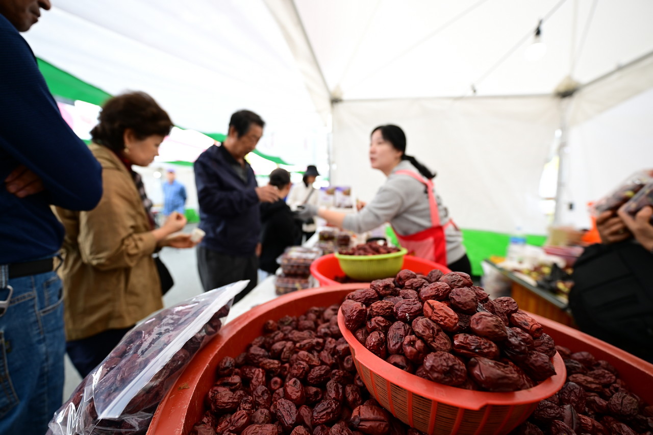 연산대추의 명성은 전국이 알아준다 (논산시)