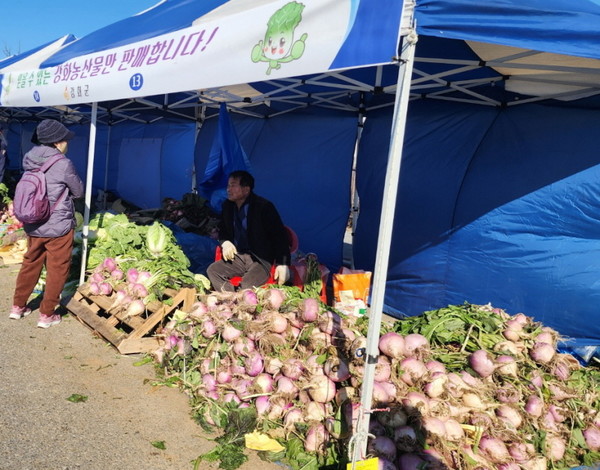 강화군이 남산리 공영주차장에서 ‘2025년 농산물 김장 시장’을 운영한다. (사진=강화군)