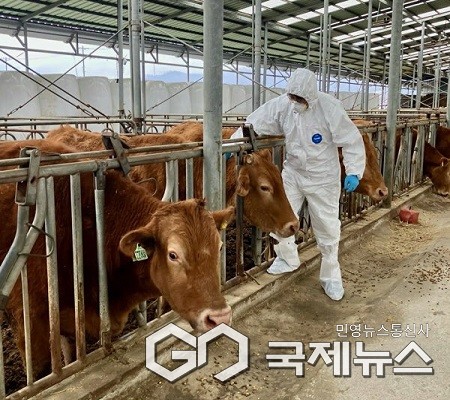 (제공=보은군청)