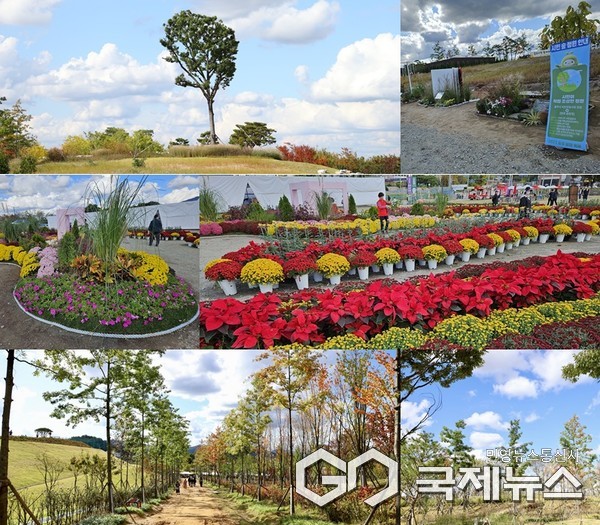 시민의 숲 캐치(사진=김상민 기자)