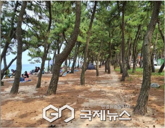 사진=사업대상자(강릉)