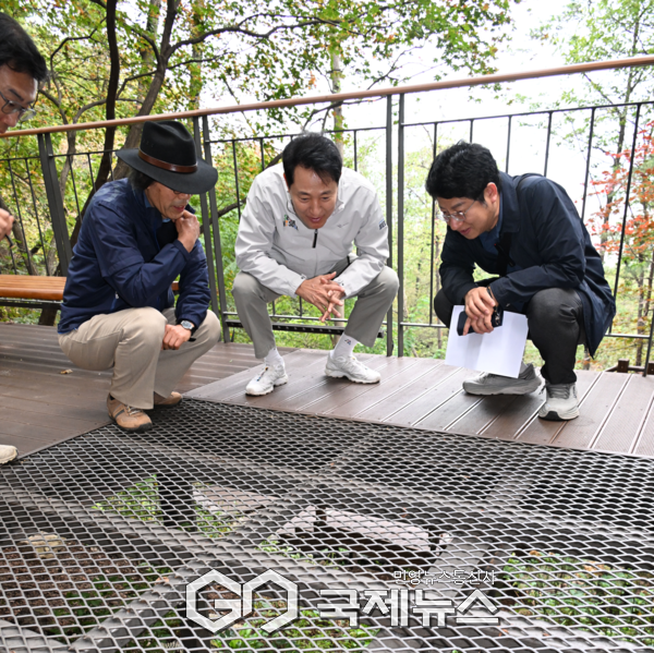 오세훈 서울시장이 26일(일) 오전 남산 '북측숲길' 바닥숲전망대에서 남산자생종 수목과 지피류를 살펴보고 있다 [사진제공=서울시청]