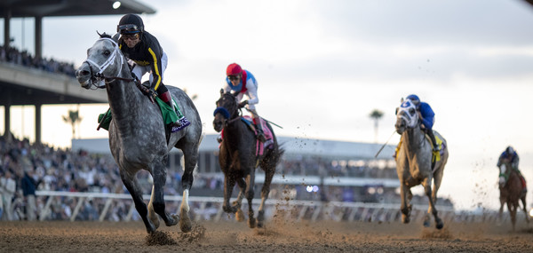 21년 미국 브리더스컵 클래식 결승선에 들어오는 닉스고(제공=한국마사회)