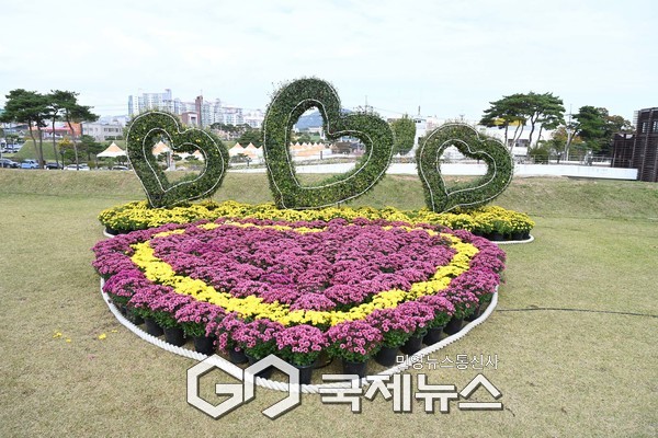 가을 정취와 함께하는 국향문화축제, 가족과 힐링의 장 마련/홍성군청 제공