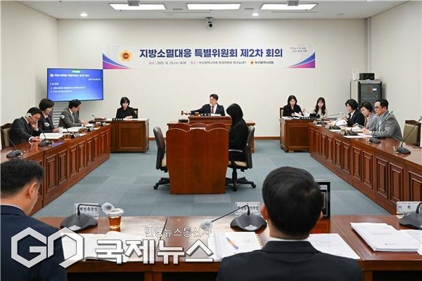 제2차 지방소멸대응 특별위원회 회의 모습/제공=부산시의회