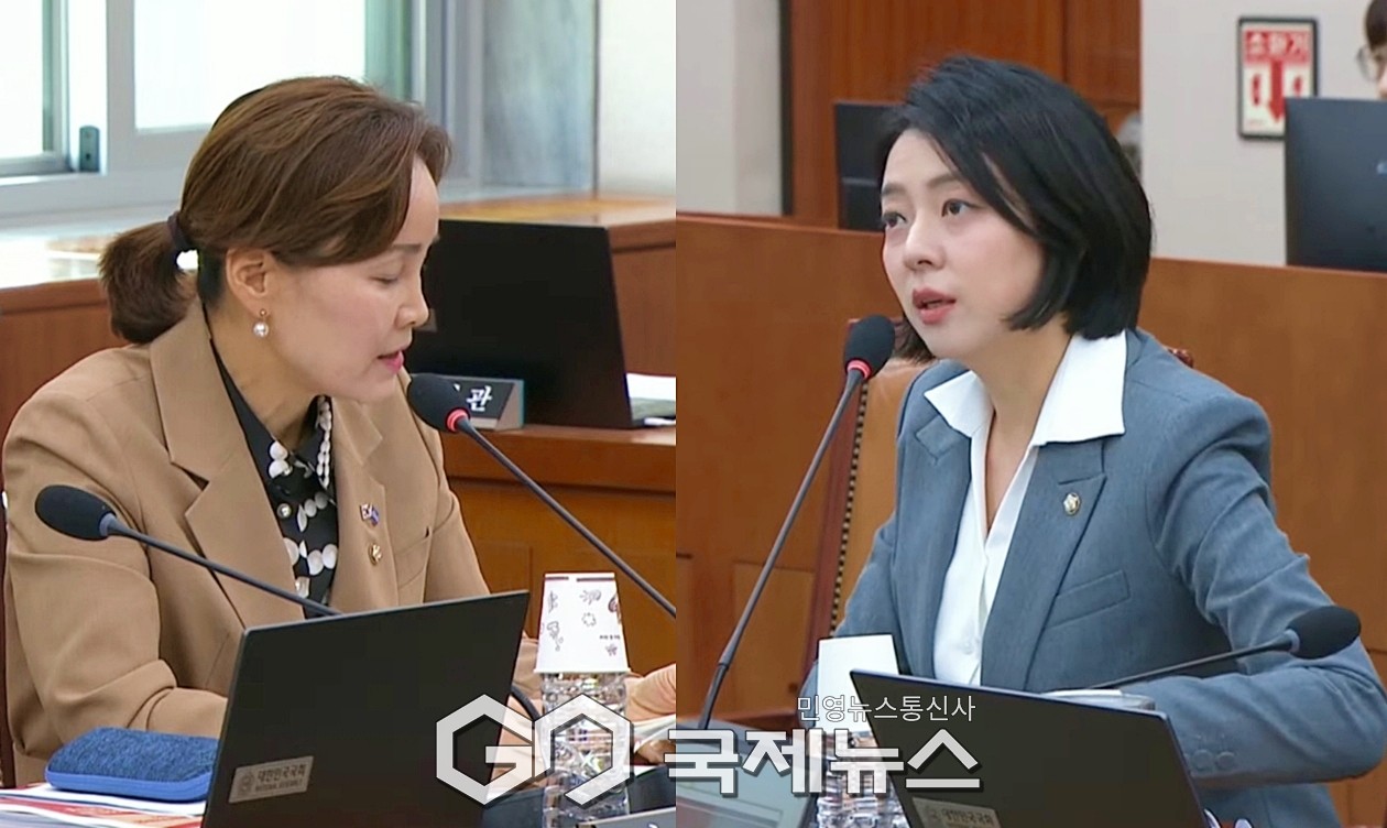 ▲임오경 더불어민주당 의원과 배현진 국민의힘 의원은 29일 오후 국회 문화체육관광부 국정감사에서 김건희 국보농단 관련 공무원의 업무 정지를 두고 공방을 벌이고 있다./사진=이용우 기자