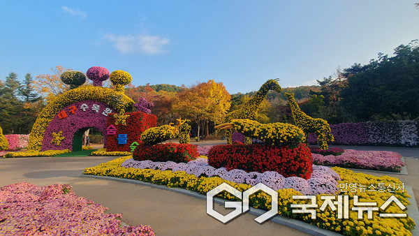 사진제공=대구시청