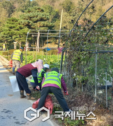 평은면 천본2리주민마을 주요도로변 환경정비 실시