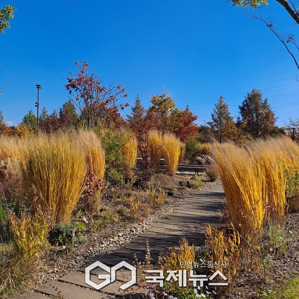 사진/국제뉴스 이재호 기자