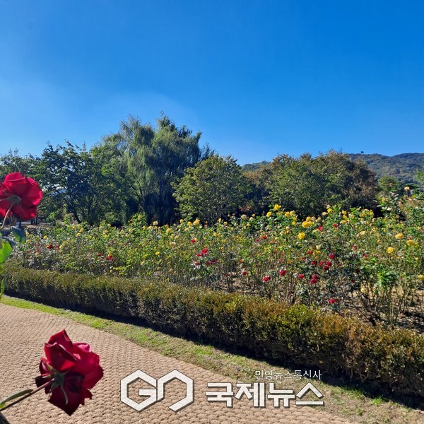 사진/국제뉴스 이재호 기자