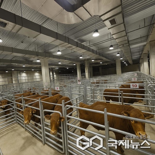 (사진=전북자치도청 제공)