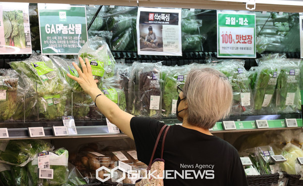(서울-국제뉴스)  서울 시내 한 대형마트에서 한 시민이 장을 보고 있는 모습..／사진=이용우기자