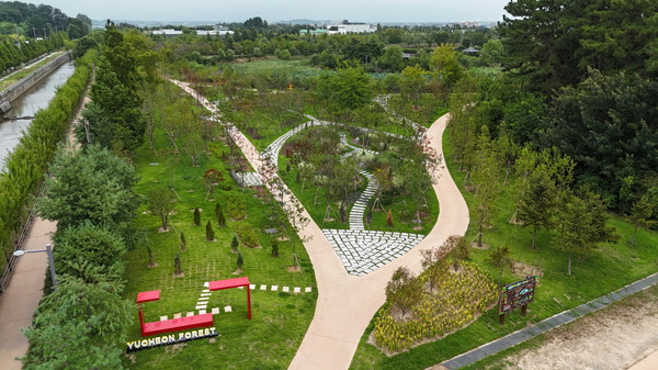 도심 속 숲길 따라 걷자_녹색정원도시 익산=유천생태습지(사진=익산시 제공)