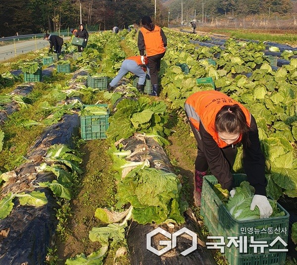(제공=진천군청)