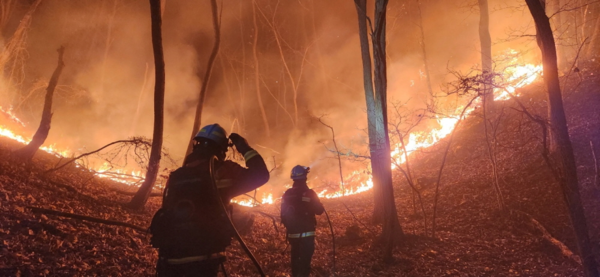 산불 자료사진 (사진=산림청)