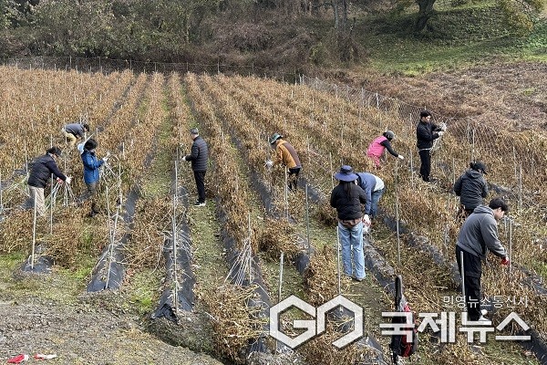 (제공=보은군청)