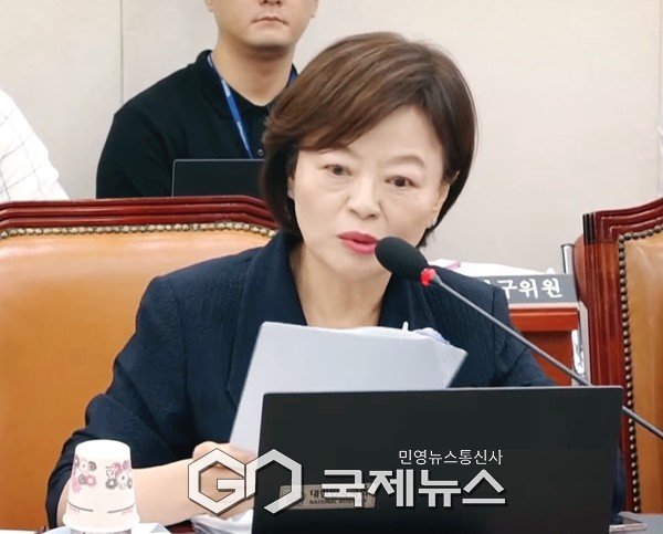 ▲진선미 의원(더불어민주당) 사진=고정화 기자