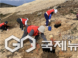영덕 산불 피해지에 진달래 심기활동 모습/제공=해운대구청