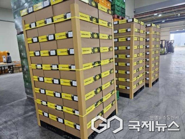 (제공=보은군청)