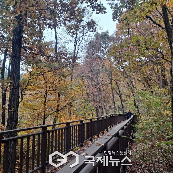 사진/국제뉴스 이재호 기자 무장애숲길