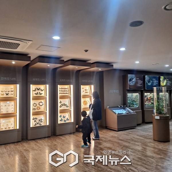 사진/국제뉴스 이재호 기자