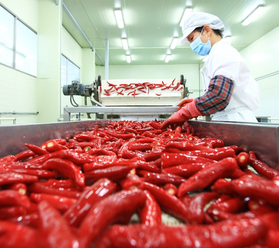 (사진제공=영양군)