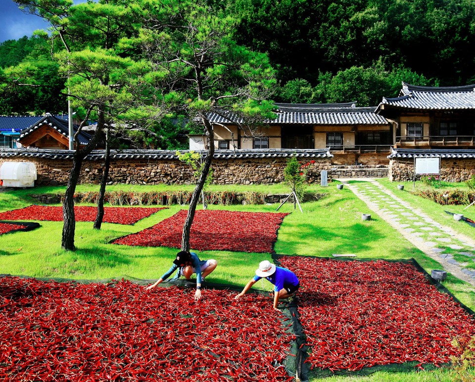 (사진제공=영양군)