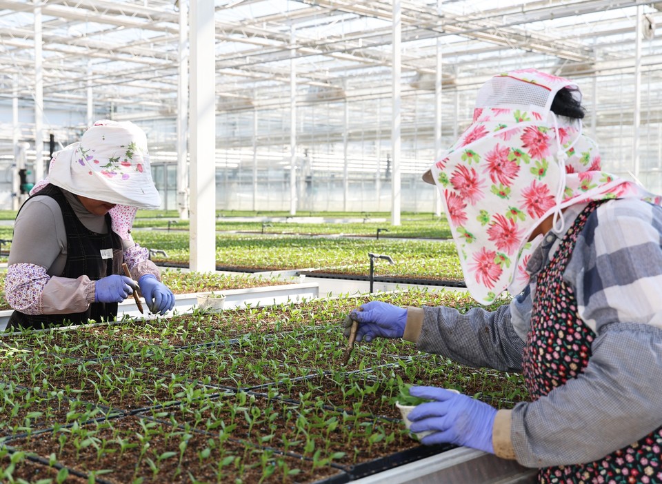 (사진제공=영양군)