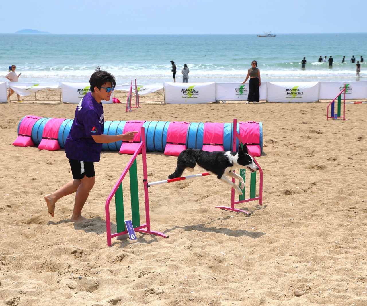 ‘관광휴양도시’로 정착할 수 있게 된 '반려동물과 함께 하는 태안'의 정책이 큰 효과를 보고 있다 (태안군)